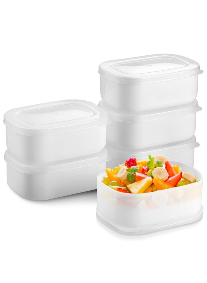 OSHIMA 8PCS Food-Grade Freezer Containers with Lids, Bpa-Free Small Plastic Storage Containers for Meal Prep Freezing Portioning, Reusable Storage Containers Ideal for Kitchen Organization and Daily Use - Image 1